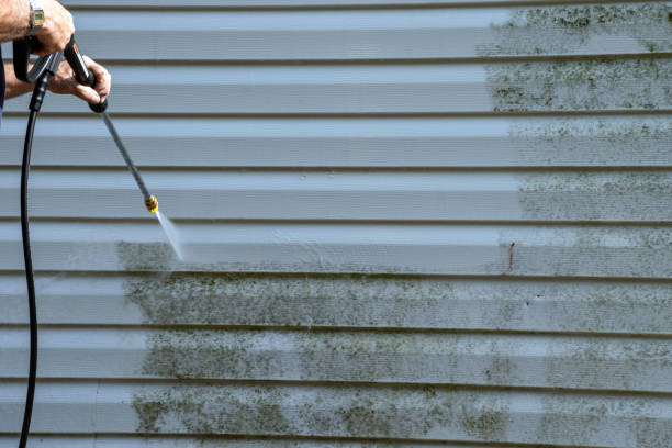 Affordable siding repair and maintenance services in East Wenatchee, WA